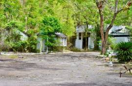 Development Land (Residential) for Sale in Gordon Town