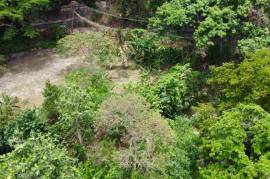 Development Land (Residential) for Sale in Gordon Town