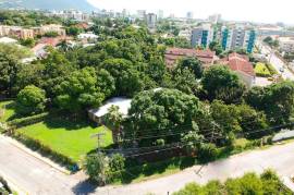 Development Land (Residential) for Sale in Kingston 10