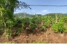 Development Land (Residential) for Sale in Albany