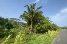 Development Land (Residential) for Sale in Albany