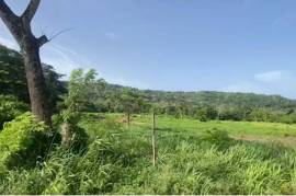 Development Land (Residential) for Sale in Albany