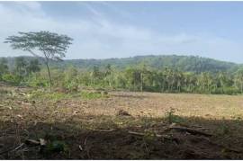 Development Land (Residential) for Sale in Albany