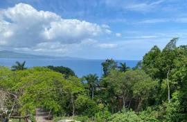 Development Land (Residential) for Sale in Montego Bay