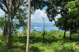 Development Land (Residential) for Sale in Montego Bay