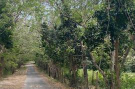 Development Land (Residential) for Sale in Hopewell
