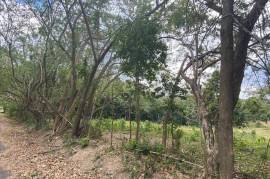 Development Land (Residential) for Sale in Hopewell