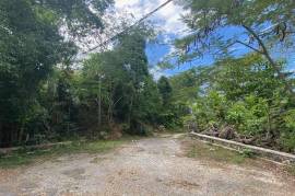 Development Land (Residential) for Sale in Hopewell