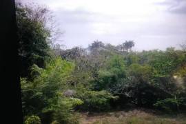 Development Land (Residential) for Sale in Montego Bay