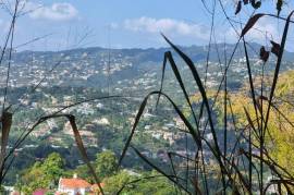 Development Land (Residential) for Sale in Kingston 8