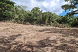 Development Land (Residential) for Sale in Kingston 8