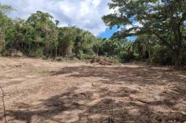 Development Land (Residential) for Sale in Kingston 8