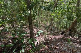 Development Land (Residential) for Sale in Montego Bay