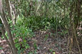 Development Land (Residential) for Sale in Montego Bay