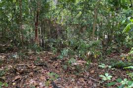 Development Land (Residential) for Sale in Montego Bay