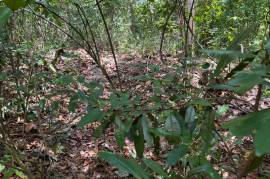 Development Land (Residential) for Sale in Montego Bay