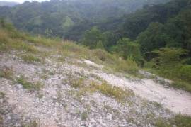 Development Land (Residential) for Sale in Kingston 8