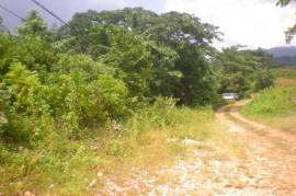 Development Land (Residential) for Sale in Kingston 8