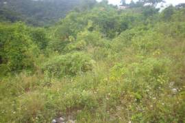 Development Land (Residential) for Sale in Kingston 8