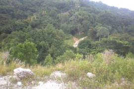 Development Land (Residential) for Sale in Kingston 8