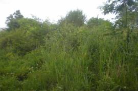 Development Land (Residential) for Sale in Kingston 8