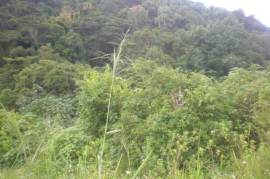 Development Land (Residential) for Sale in Kingston 8