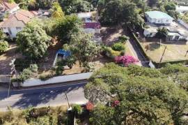 Development Land (Residential) for Sale in Kingston 6