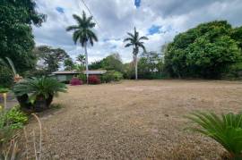 Development Land (Residential) for Sale in Kingston 6