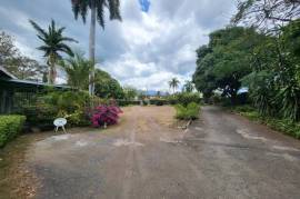 Development Land (Residential) for Sale in Kingston 6