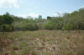 Development Land (Residential) for Sale in Osbourne Store