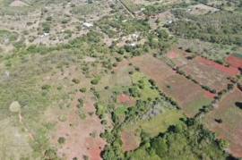 Development Land (Residential) for Sale in Treasure Beach