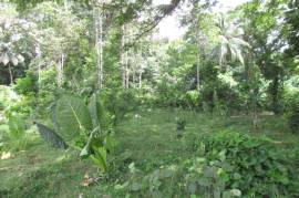 Development Land (Residential) for Sale in Boscobel