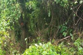 Development Land (Residential) for Sale in Boscobel