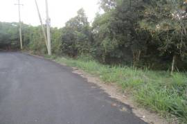 Development Land (Residential) for Sale in Red Hills