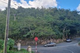 Development Land (Residential) for Sale in Red Hills