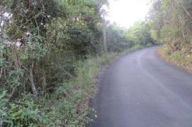 Development Land (Residential) for Sale in Red Hills