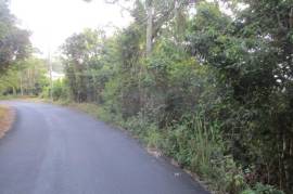 Development Land (Residential) for Sale in Red Hills