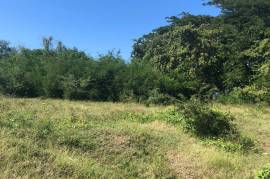 Development Land (Residential) for Sale in Lucea
