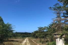 Development Land (Residential) for Sale in Lucea