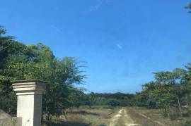 Development Land (Residential) for Sale in Lucea