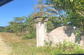 Development Land (Residential) for Sale in Lucea