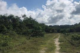 Development Land (Residential) for Sale in Lucea