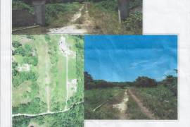 Development Land (Residential) for Sale in Lucea