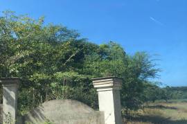 Development Land (Residential) for Sale in Lucea