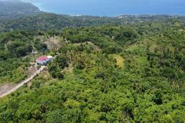 Development Land (Residential) for Sale in Hope Bay