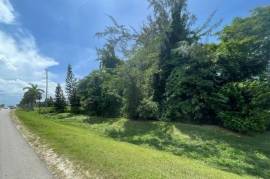 Development Land (Residential) for Sale in Montego Bay