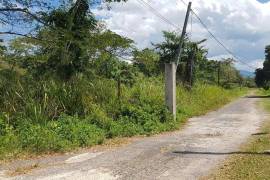 Development Land (Residential) for Sale in Savanna-La-Mar