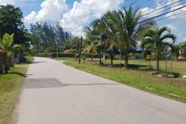 Development Land (Residential) for Sale in Savanna-La-Mar