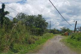 Development Land (Residential) for Sale in Savanna-La-Mar