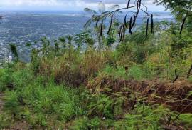 Development Land (Residential) for Sale in Kingston 9